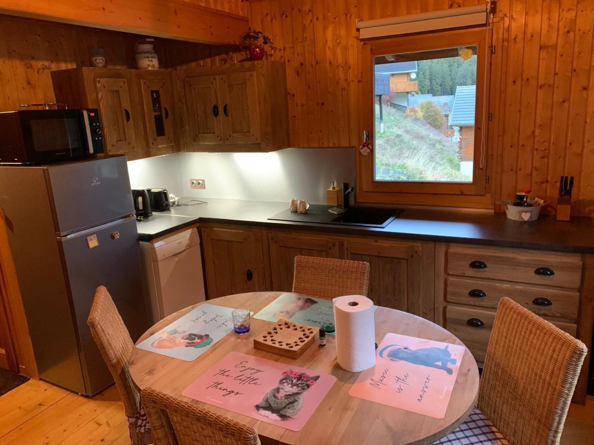Chalet Proche Morzine Et Lac Leman Wifi Offert Le Biot المظهر الخارجي الصورة